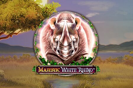 Majestic White Rhino